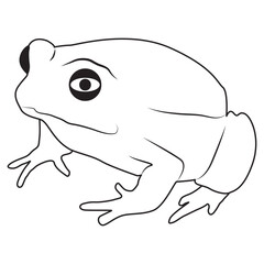 Frog Animal Line Art Illustration
