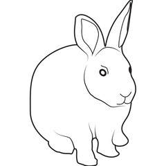 Rabbit Animal Line Art Illustration