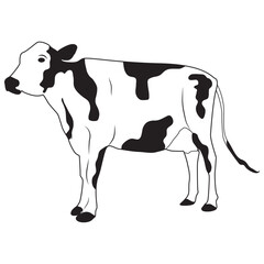 Cow Animal Line Art Illustration