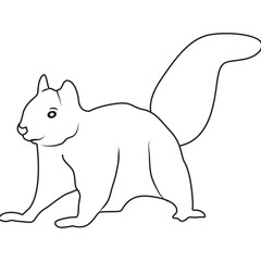 Squirrel Animal Line Art Illustration