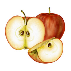 Composition of three apples. Whole, halved and quartered apples. The fruit is red. Watercolor illustration