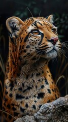 Naklejka premium Ocelot Portrait: A Close-Up Look at a Wild Cat's Eyes