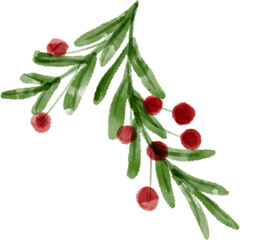 Christmas red berry