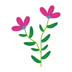 Flower Illustration