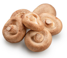 SShiitake - edible asian mushrooms isolated on white background. File contains clipping path.
