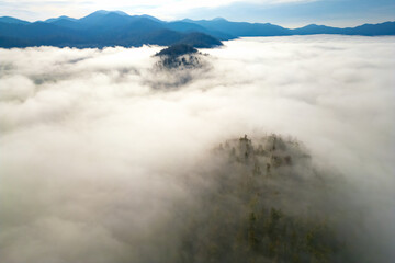 autumn mountain landscape with morning fog. Treetops and mountain peaks can be seen through the thick fog on sunrise time. View from drone