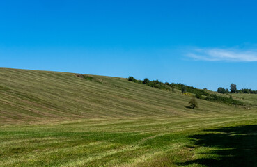 Rolling Green Hills Under Clear Blue Sky