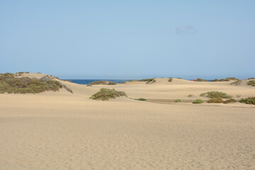 Sand dunes and blue sky
