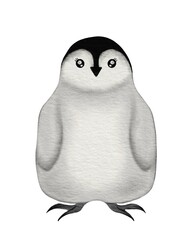 Cute penguin character illustration with big eyes and a chubby body design on white background