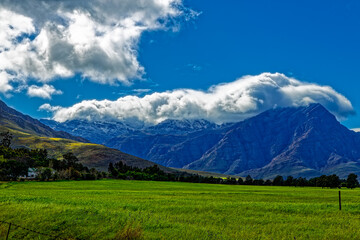 Fototapeta premium Green wheat below snow covered mountain after winter storm near Worcester in the Western Cape, South Africa