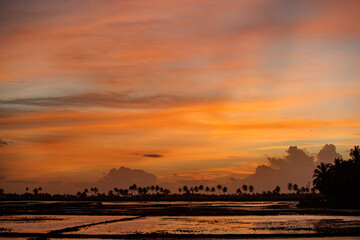 Beautiful orange sunset time sky  
