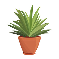 House plants in pots. Element for design house, room or office. Isolated element on white background.