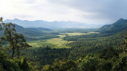 Fototapeta premium A panoramic view of Khao Yai National Park from a popular viewpoint in Korat.