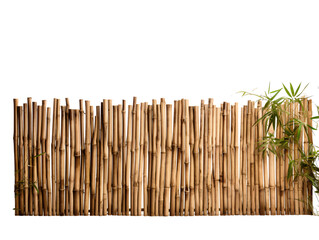 a bamboo fence with a plant
