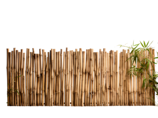 a bamboo fence with a plant