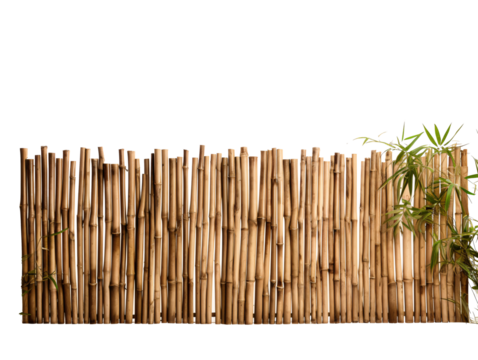 a bamboo fence with a plant