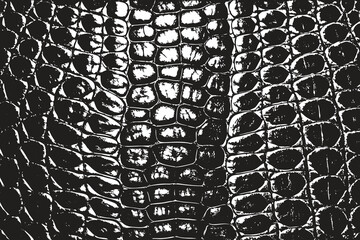 Black and White Crocodile Skin Pattern Seamless Vector
