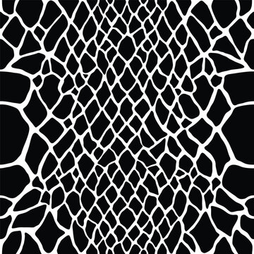 Snake skin. Scales pattern. Animal print, spotted reptile surface monochrome black and white background. Vector seamless texture