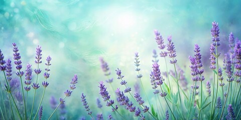 Obraz premium Gentle Lavender Blooms in a Field of Light