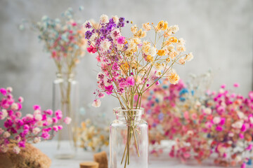 Dried gypsophila flowers on a light background
