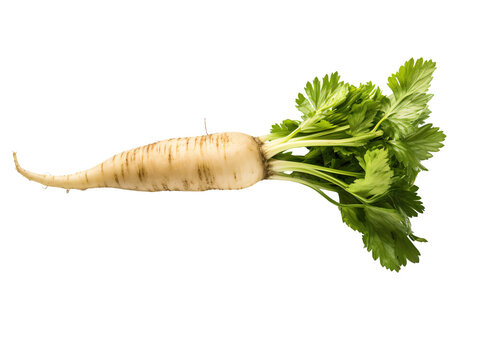 a white root vegetable with green leaves