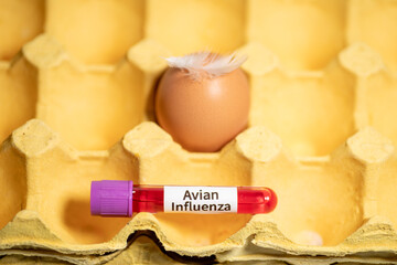 Humans can't get avian influenza from the food, including eggs bought from the grocery store
