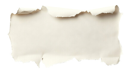 Fototapeta premium Torn paper with curled edges, isolated on transparent cutout background