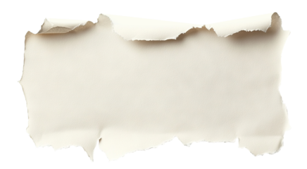 Torn paper with curled edges, isolated on transparent cutout background