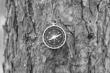 Classic navigation compass on natural background