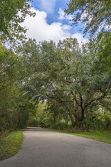 Obraz premium New Tampa Nature Park a Autism Friendly Park in Hillsboro County Tampa Bay Florida USA