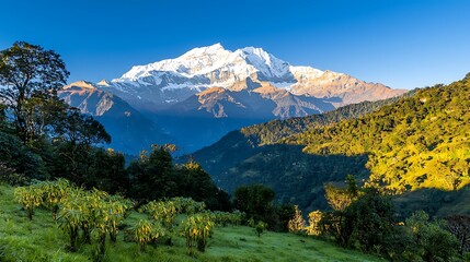 Fototapeta premium Majestic Mountain Peak with Lush Green Foliage and Blue Sky