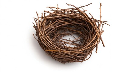 Obraz premium A rustic bird nest made of twigs and branches, perfect for nature-themed designs and illustrations.