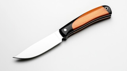 Fototapeta premium A sleek and sharp kitchen knife with a wooden handle, perfect for culinary tasks and food preparation in any kitchen.