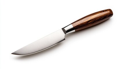 A sleek kitchen knife with a wooden handle and sharp blade, ideal for precise cutting and culinary tasks.