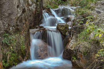 Obraz premium waterfall in the forest