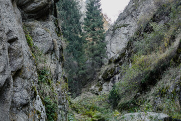 rock in the mountains