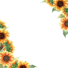 Watercolor square frame with yellow sunflowers. Hand drawn botanical watercolor illustration isolated on white background. For greeting card invitation clip art sticker