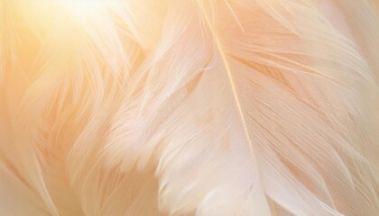 羽毛 ベージュ 柔らかい 軽い 繊細 テクスチャー フワフワ クローズアップ 優雅 清潔 シンプル ミニマル 柔らかな光 光沢 透明感 自然 ソフト エレガント 柔らかさ ナチュラル