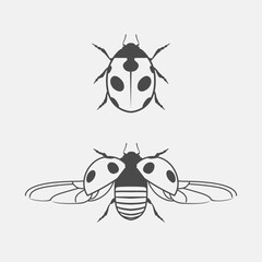 ladybug symbol icon