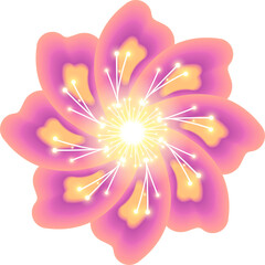 Purple pink color flower with glowing light pollen, PNG file no background   