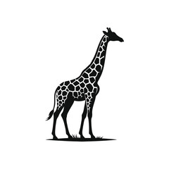 Fototapeta premium giraffe illustration