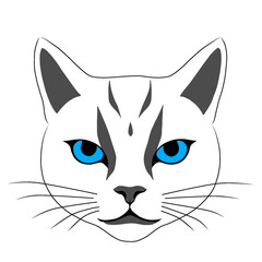 grey cat with blue eye vector illustration