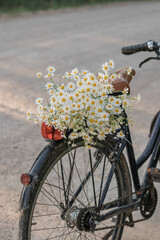 old bicycle in the street