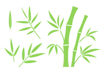 Bamboo stems segments with branches and leaves set. Flat vector illustration isolated on white background.