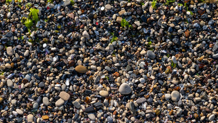 Colorful pebbles and stones cover the ground near the water's edge, reflecting sunlight on a bright day