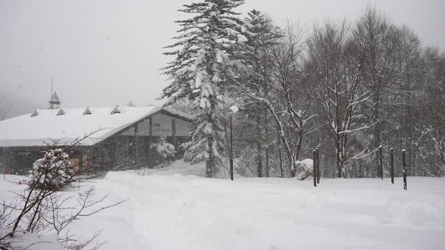 houses of Shirikawa Go that uses traditional style structure 