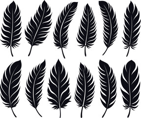 Obraz premium feather vector silhouette images art illustration