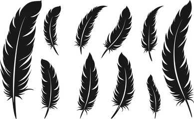 feather vector silhouette images art illustration