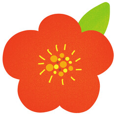 red flower isolated on white