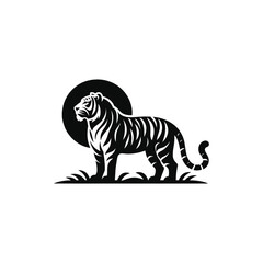 tiger on white background